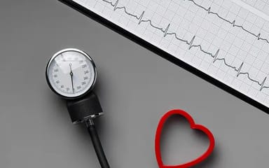 Normal Resting Heart Rate: What’s Healthy by Age and Gender
